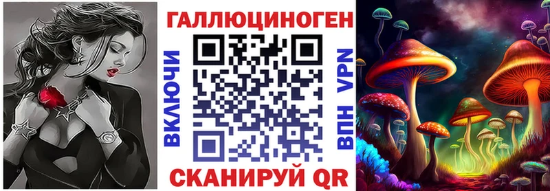 где найти   Комсомольск  Псилоцибиновые грибы Psilocybe 